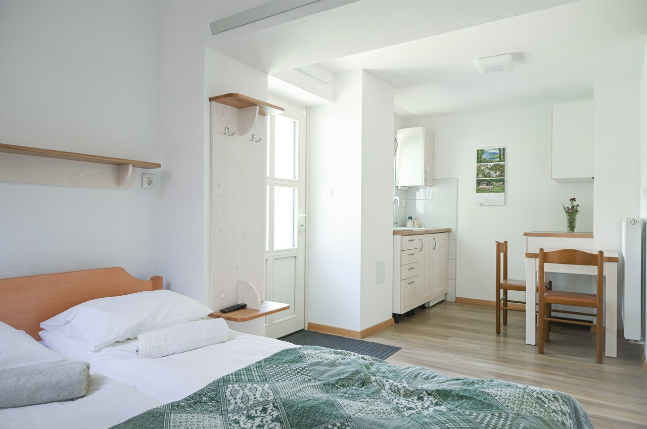 studio-apartma-pri-bizjaku-1