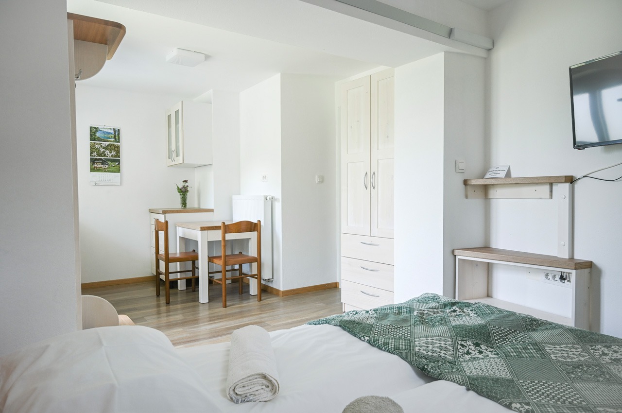 studio-apartma-pri-bizjaku-3